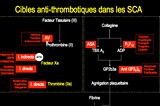 Gestion du polyvasculaire