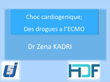 Choc cardiogénique: des drogues à l'ECMO