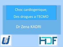 Choc cardiogénique: des drogues à l'ECMO